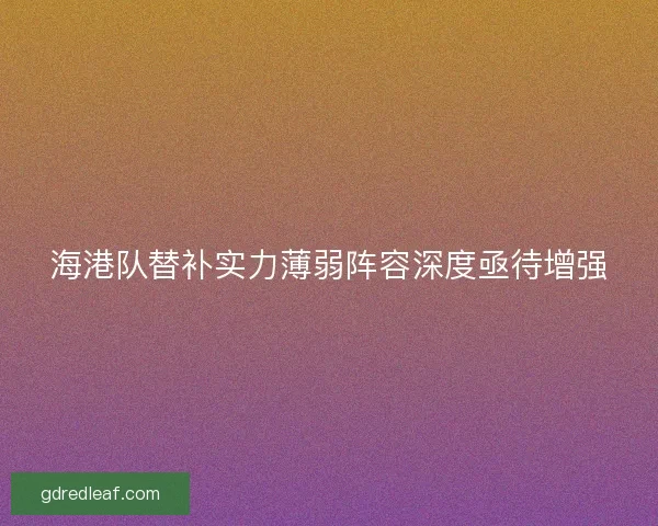 海港队替补实力薄弱阵容深度亟待增强