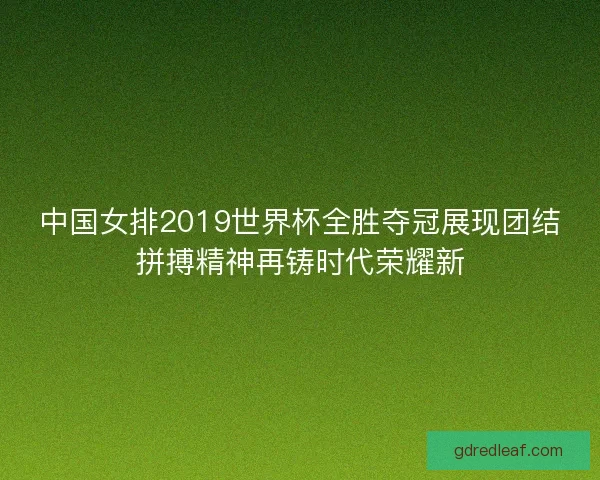 中国女排2019世界杯全胜夺冠展现团结拼搏精神再铸时代荣耀新 中国女排2019世界杯全胜夺冠展现团结拼搏精神再铸时代荣耀新