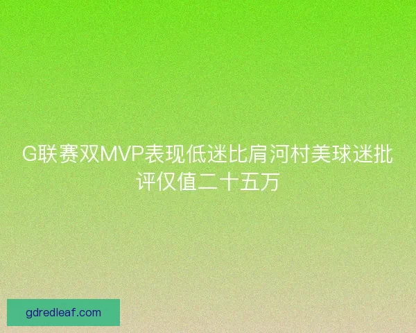 G联赛双MVP表现低迷比肩河村美球迷批评仅值二十五万